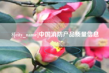 定边中国消防产品质量信息