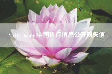 定边中国执行信息公开网失信