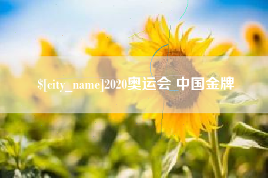定边2020奥运会 中国金牌