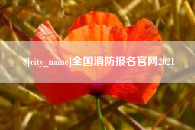 定边全国消防报名官网2021
