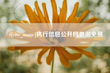 定边执行信息公开网查询免费