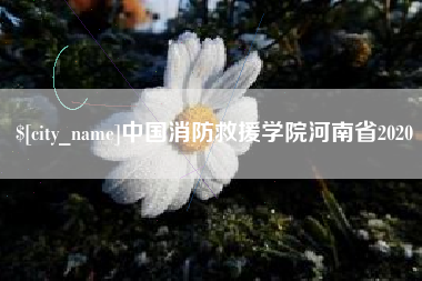 定边中国消防救援学院河南省2020