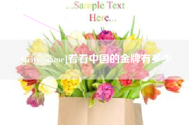 定边看看中国的金牌有多少